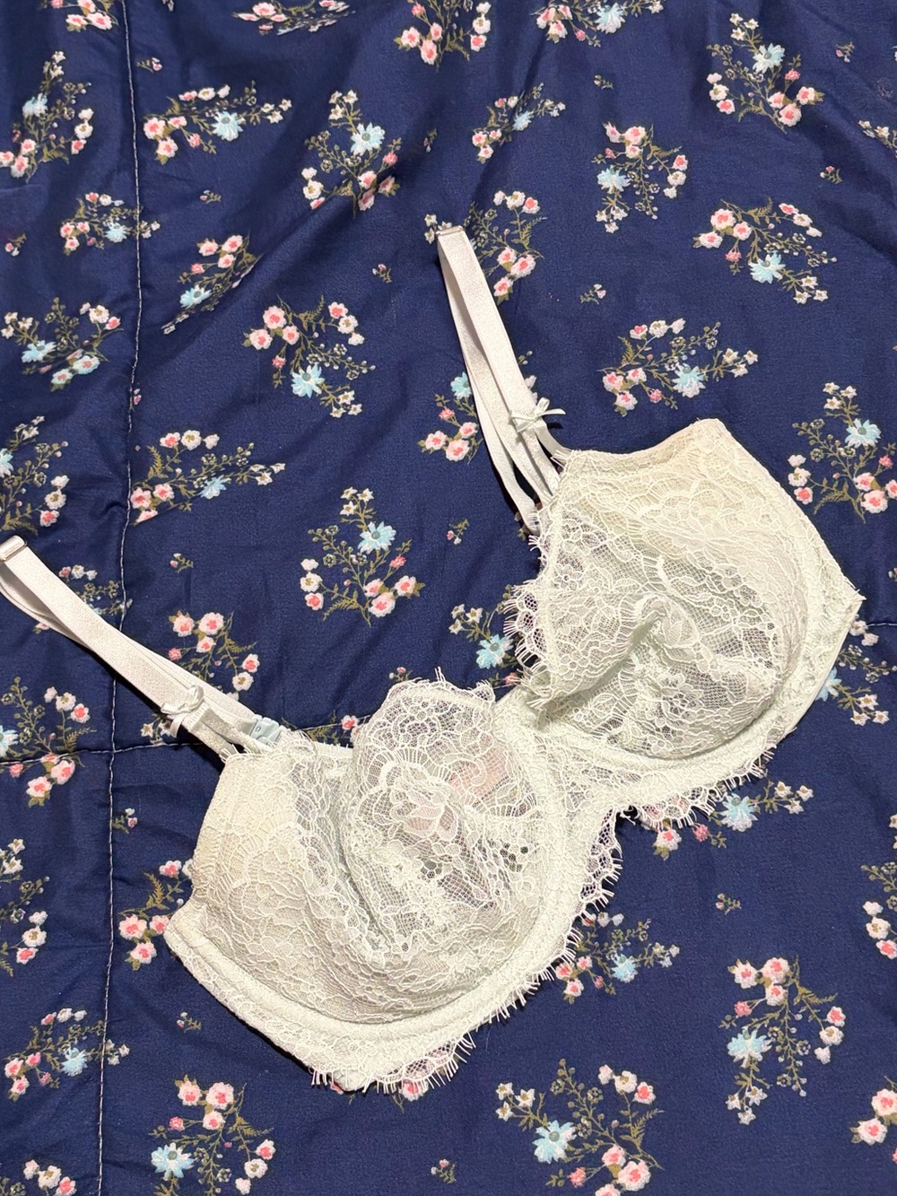 Victoria's Secret Dream Angels Push Up Without Padding 34DD Mint Green Sheer
